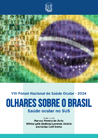 Olhares sobre o Brasil 2024